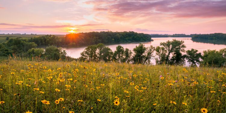 Minnesota poised for near-total ban of ‘forever chemicals’ - CEO North America Minnesota poised for near-total ban of ‘forever chemicals’