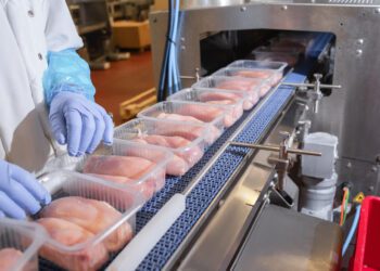 USDA approves sale of lab-grown chicken