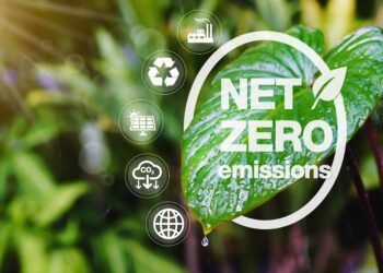 Fossil fuel company net zero plans are more talk than walk