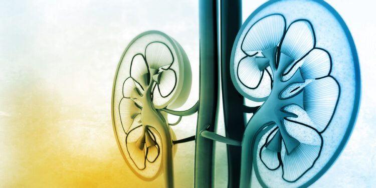 Common medications that can harm your kidneys