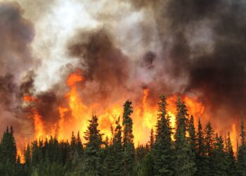Canadian wildfires hurting industries