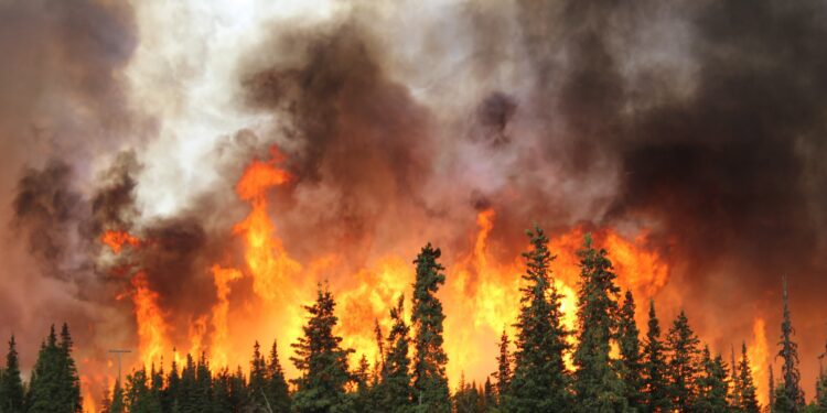 Canadian wildfires hurting industries