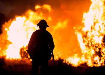 Maui wildfires leave 6 dead