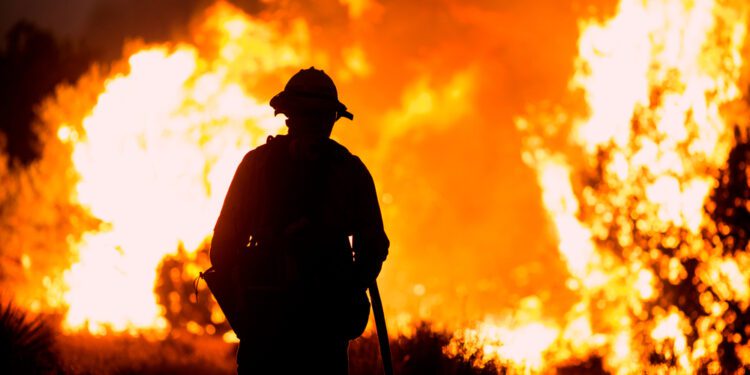 Maui wildfires leave 6 dead - CEO North America Maui wildfires leave 6 dead
