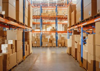 Wholesale prices rise .3% in July