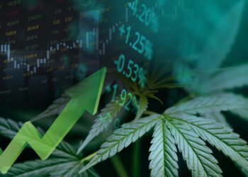 Cannabis stocks surge as HHS calls for eased restrictions