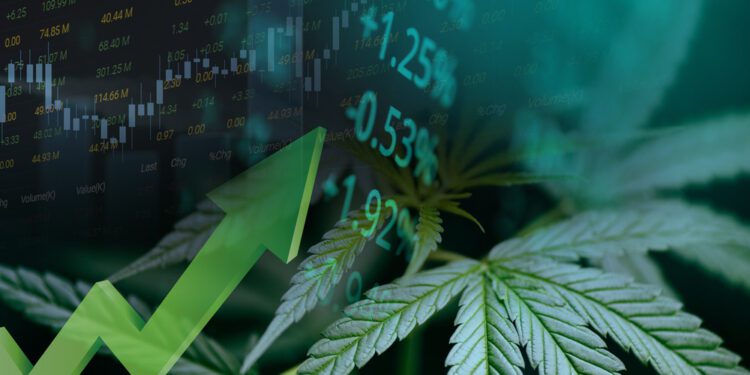 Cannabis stocks surge as HHS calls for eased restrictions - CEO North America Cannabis stocks surge as HHS calls for eased restrictions