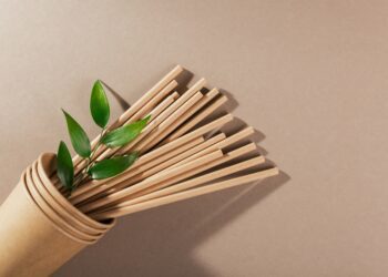 Study finds paper and bamboo straws have more chemicals than plastic