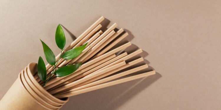 Study finds paper and bamboo straws have more chemicals than plastic