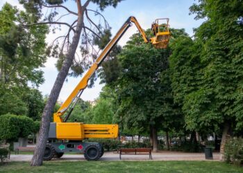 PG&E terminates tree pruning program