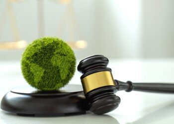 Montana judge makes landmark decision in constitutional climate trial