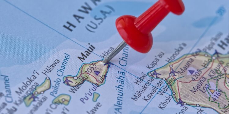 Maui wildfire could lead to predatory land grabs - CEO North America Maui wildfire could lead to predatory land grabs
