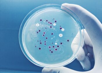 Methane-absorbing bacteria could slow global heating