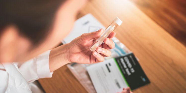 US brings back free at-home Covid tests - CEO North America US brings back free at-home Covid tests