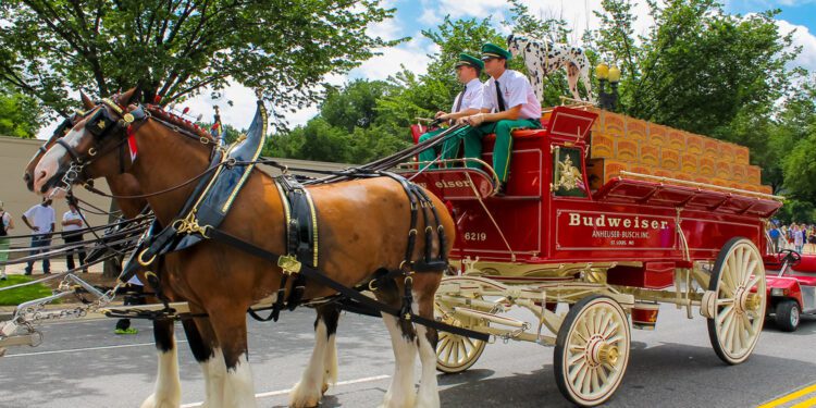 Anheuser-Busch ends its traditional clipping of Clydesdale tails
