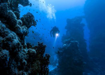 Deep-sea mining could be source of minerals critical to Earth’s future