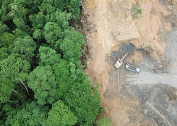 World far off pace from deforestation goals