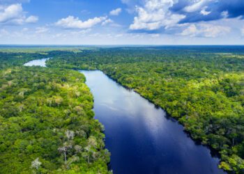 Amazon River level hits 100-year low