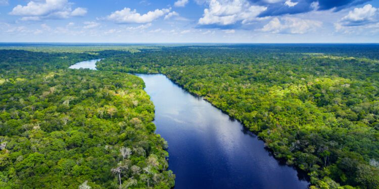 Amazon River level hits 100-year low