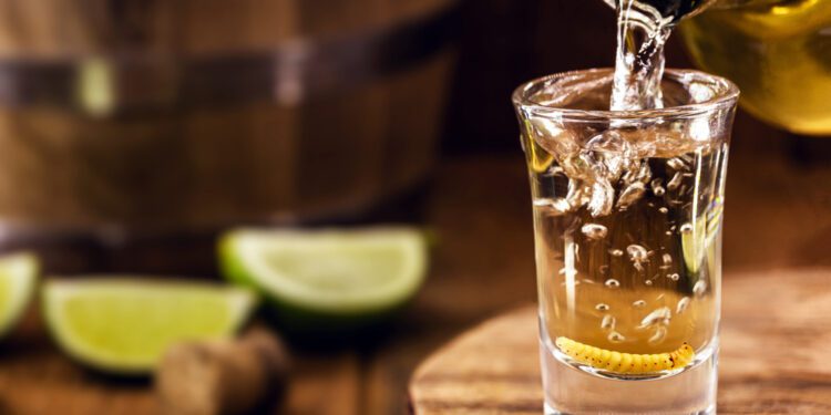 Mexican spirits and beer on the rise across America