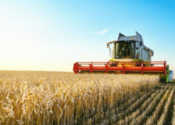 US farmers shy away from planting cover crops