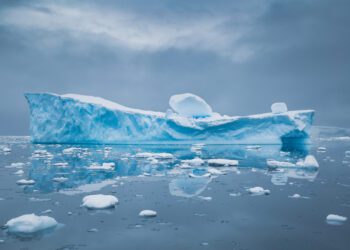 Largest Antarctic iceberg moves for first time in three decades