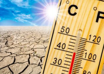 Scientists warn 2023 is set to be hottest year on record