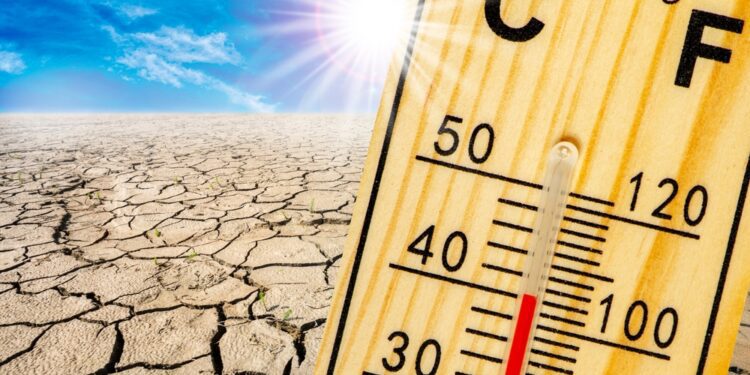 Scientists warn 2023 is set to be hottest year on record