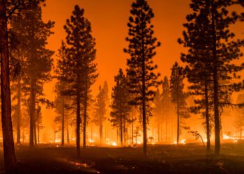 Inflation no longer outweighs US wages