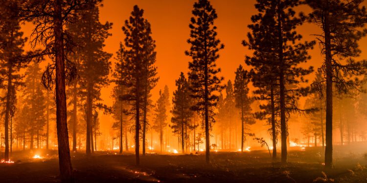 California wildfires leave carcinogens in the soil - CEO North America Inflation no longer outweighs US wages