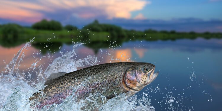 Study claims a quarter of freshwater fish are near extinction