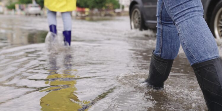 Apple to roll back US Apple Watch sales