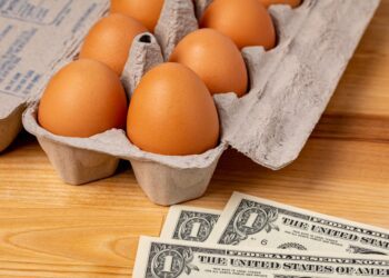 These egg substitutes can help in the kitchen when supplies run short - CEO North America Teamsters vote to authorize Anheuser-Busch strike