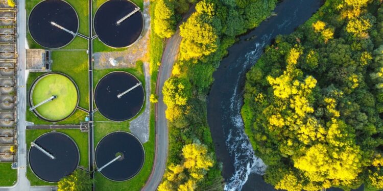 Activision Blizzard CEO to step down at end of year