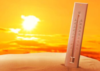 JetBlue CEO to step down in February