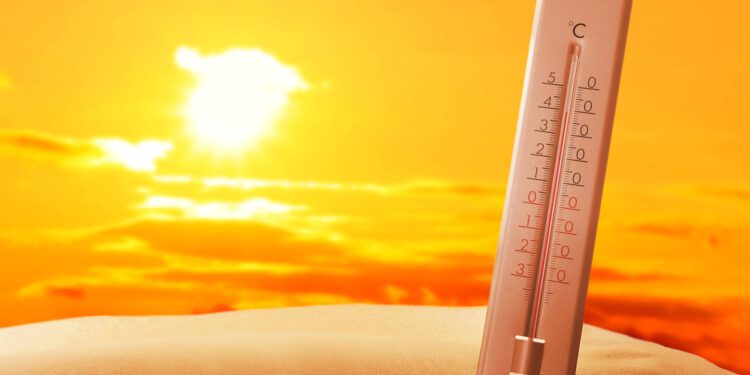 JetBlue CEO to step down in February