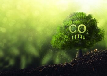 Citigroup to layoff 10% of staff