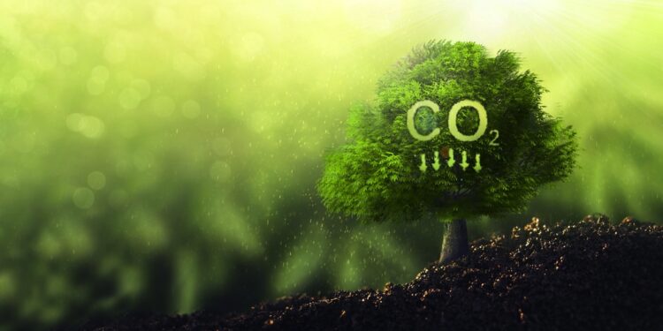 Citigroup to layoff 10% of staff