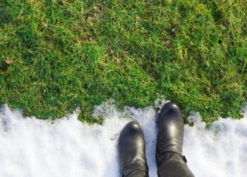 U.S. experiences warmest winter on record