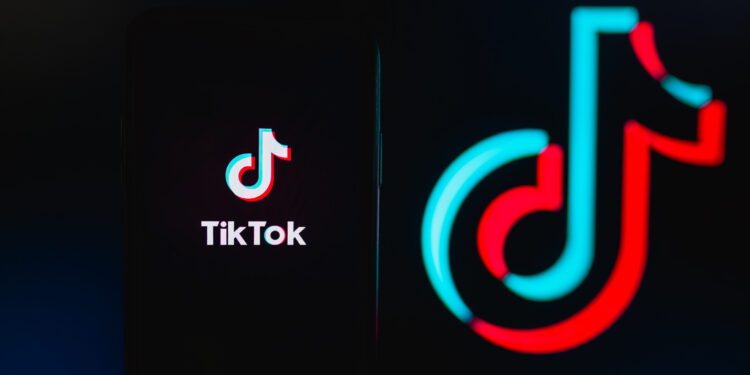 Former Treasury Secretary shows interest in buying TikTok - CEO North America Former Treasury Secretary shows interest in buying TikTok