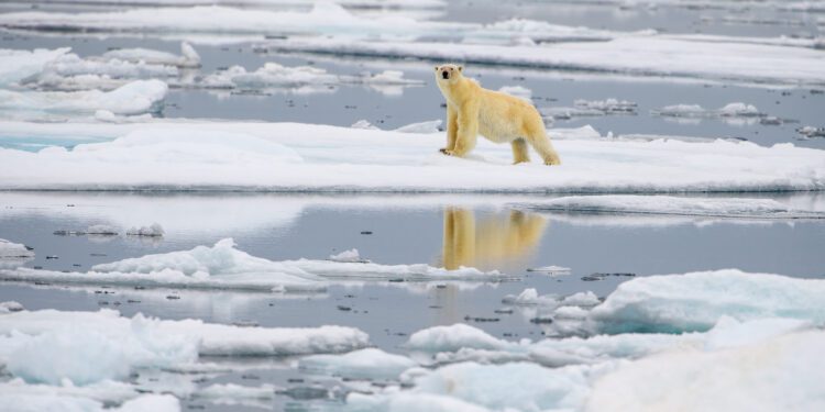 Climate change has affected Earth's rotation, study says - CEO North America Climate change has affected Earth’s rotation, study says