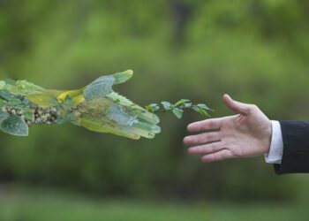 Survey finds bigger focus on sustainability for businesses in 2024