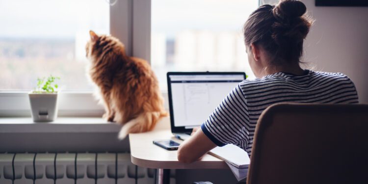 Working from home is here to stay, despite pushback - CEO North America Working from home is here to stay, despite pushback