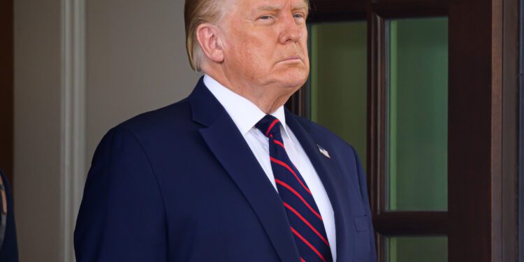 Trump stock tumbles after notice of new shares - CEO North America Trump stock tumbles after notice of new shares