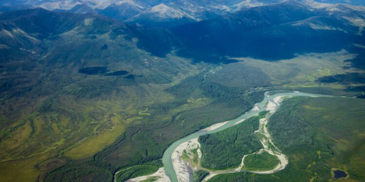 Government to reject industrial road through interior Alaska