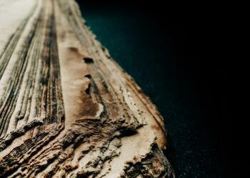 Ancient book expected to fetch $2.6M in auction