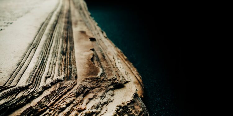 Ancient book expected to fetch $2.6M in auction - CEO North America Ancient book expected to fetch $2.6M in auction