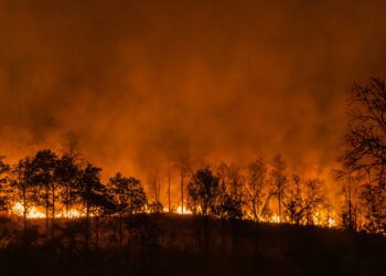 Four states under air quality alerts due to Canadian wildfires
