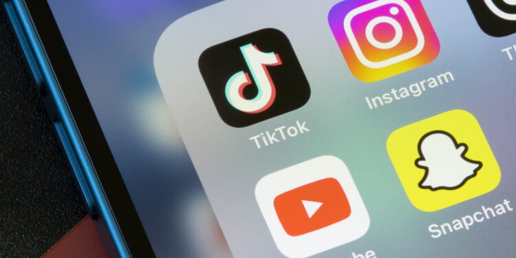 Tech companies pursue advertisers as TikTok's future remains unclear - CEO North America Tech companies pursue advertisers as TikTok’s future remains unclear
