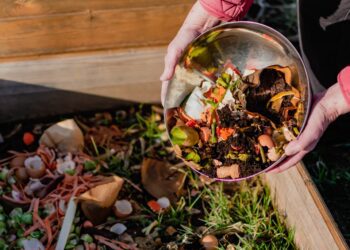 Composting gains traction but faces challenges in U.S. adoption
